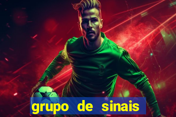 grupo de sinais trader telegram